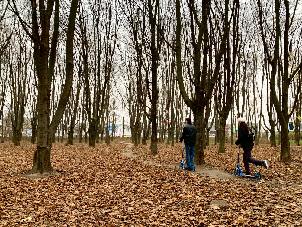 ��� ���� ����� �� ����� �� ������� ������-� "��������������"