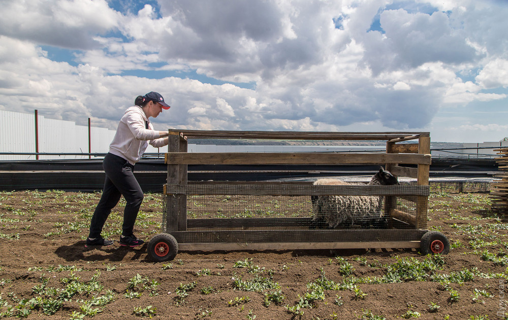 ������������ ������ �������������