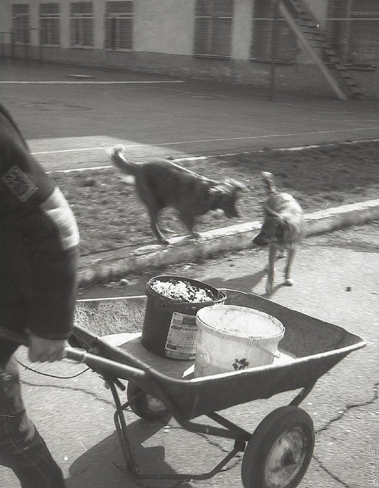 ��� ��� ������. ����: MUSE