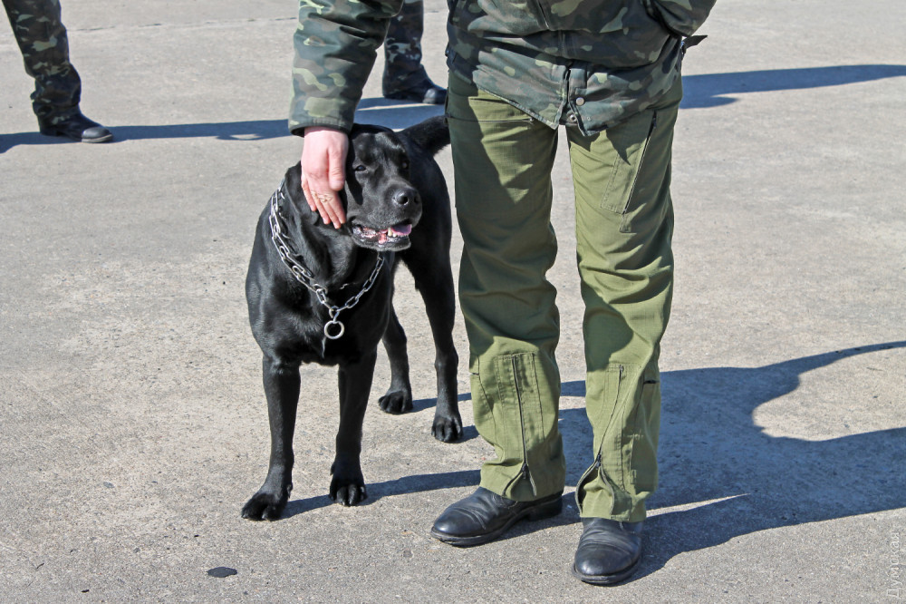 ������� �������� - ��� ����, ������������� � �������� 3 ����� 2014 ����... ���� 2015 ����