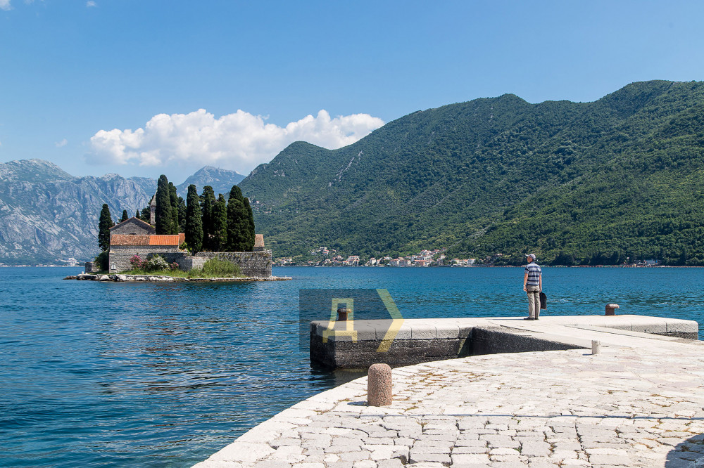 23 ���� 2021. ����������� � ����������