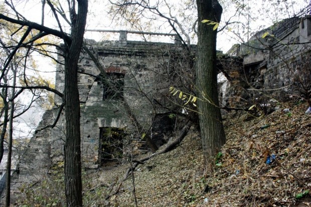 �� ����� �����. ���� 2011 ����