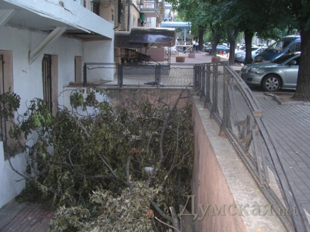 �������������