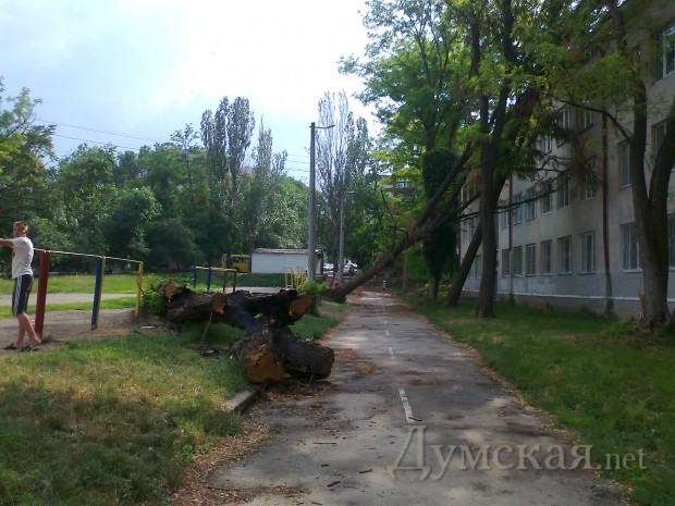 ���������� �������� �����