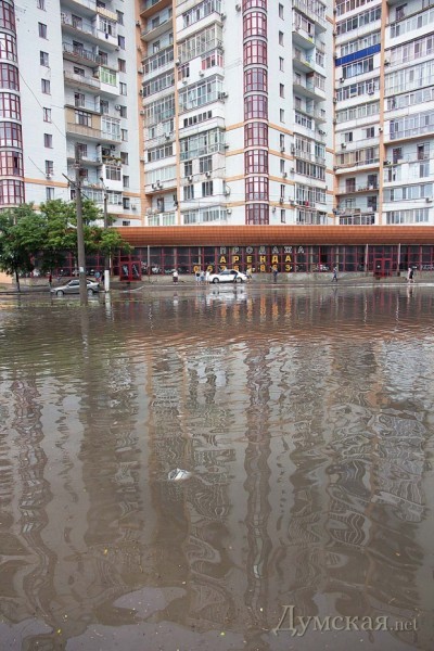 �� "���� ��������"