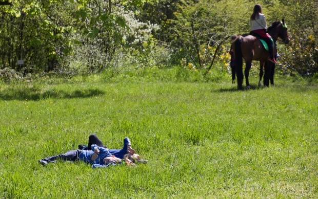 � ����� ������, ����� ������ ���������� �� ����� 