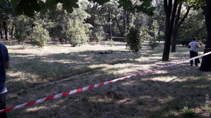 ���� ����� �����������