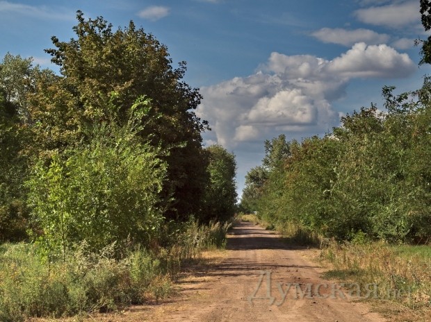 ������ � ����� �������� �������