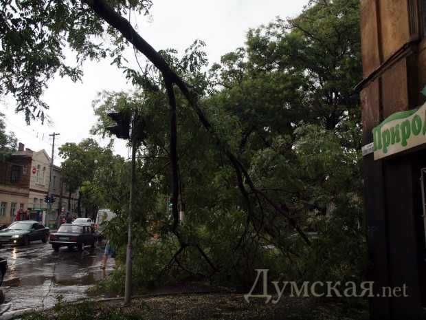 ���������������������. ����: �. ���������