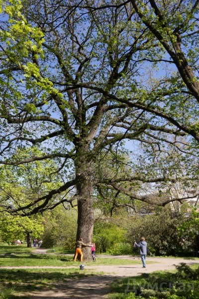 ����� ���� ������ ������ ������������� ���