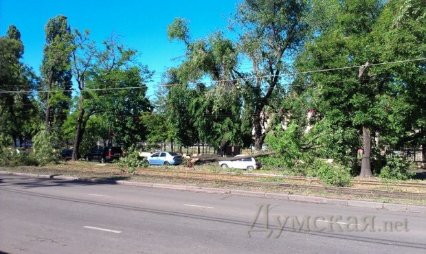 ���� ����������� ����