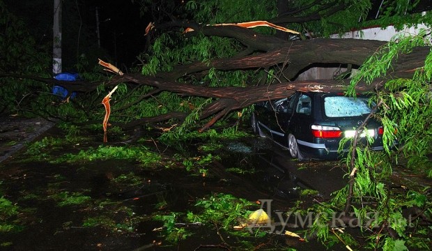 ����� ������������� 