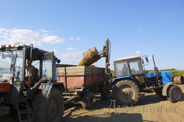 �������� �� ������ - ����������������