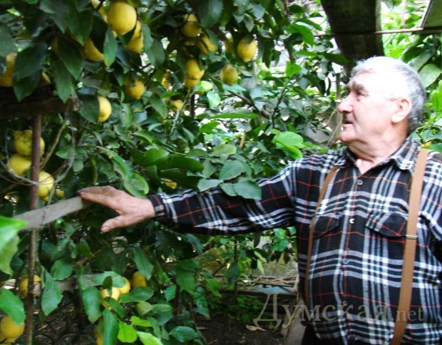 � �������� ����