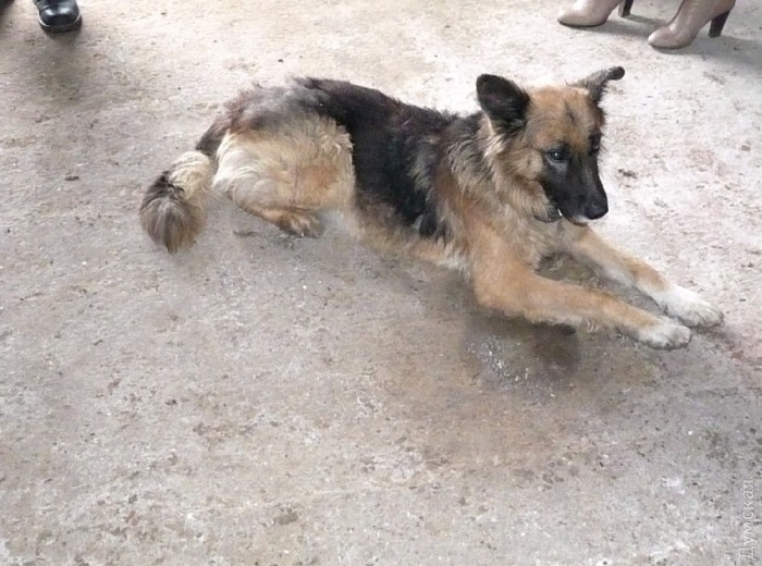 ����� �������� � ������������� � ���������