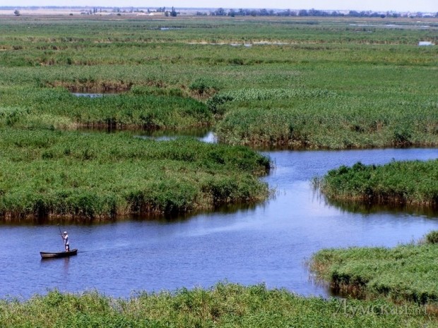 ���� ������� ��������