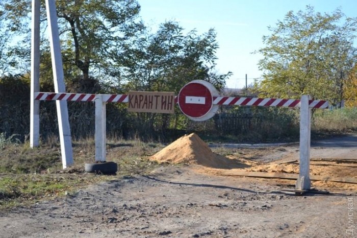 � �������� �������� ��������. ����� � ���� - ���� ����