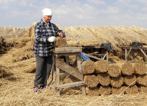 ��� ����� "������".  ���� ������� ��������