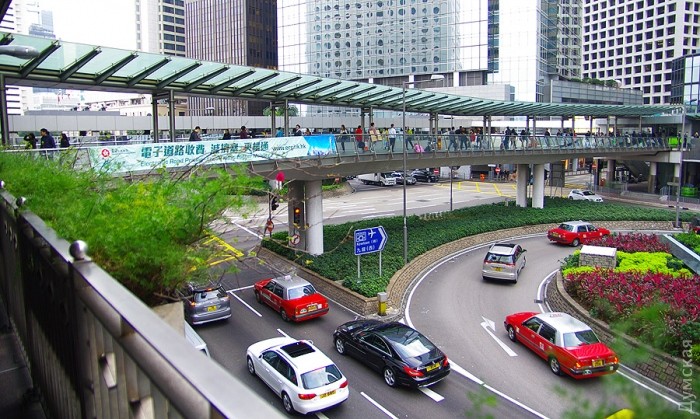 ���� ��������� ���������