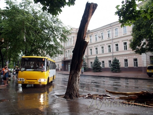 �������� ������ ������������ �������� ����� ��������������������� � ����������� � �����������������. ���������, ������� ��������, ���� �� ��������. ������� �����. ����: �. ���������