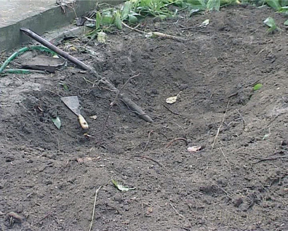 Здесь был зарыт клад