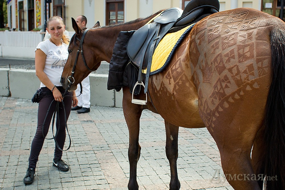 Лошадка с фигурной стрижкой