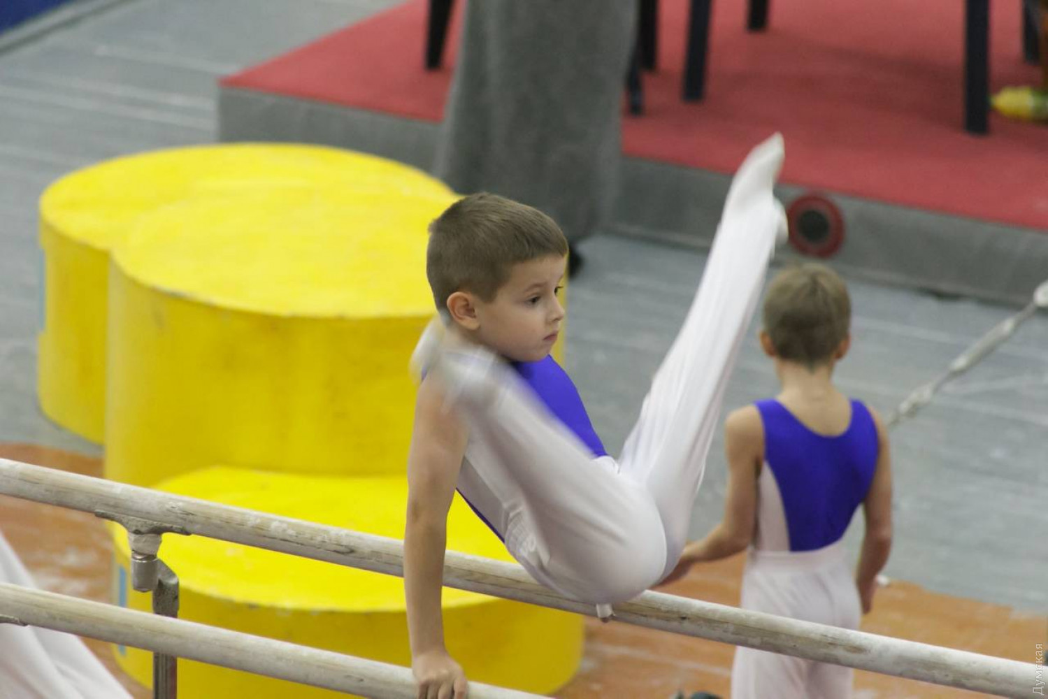 Дмитрий Заика