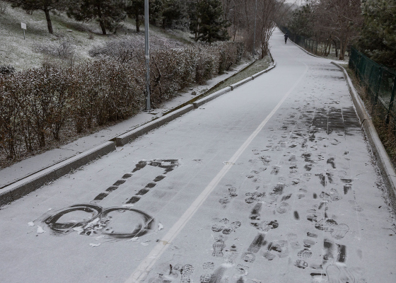 Котики, экстремалы и любители чаек: как выглядят пустынные и заснеженные пляжи Одессы (фоторепортаж)