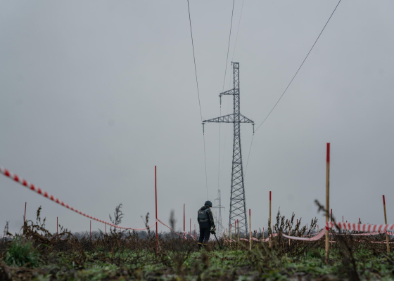 �&nbsp;������� �&nbsp;������ ��������������� ����� ����������� ���&nbsp;313&nbsp;����� ����������� 