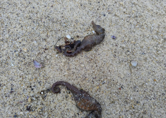 ������ ��&nbsp;����: ������� ����������� �������� ������ ������� ������� �&nbsp;������ �&nbsp;������� ������� 