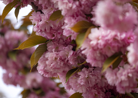 ������ ��&nbsp;���&nbsp;������: �&nbsp;�������� ����� �������� ������ (��������) &nbsp;