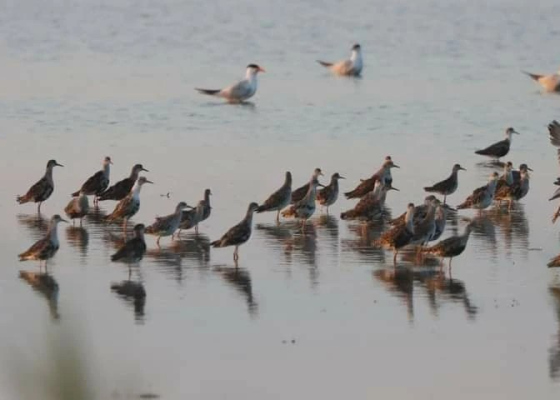 �&nbsp;������� �&nbsp;�������� ������� ��������� ���������� ����� (����) 