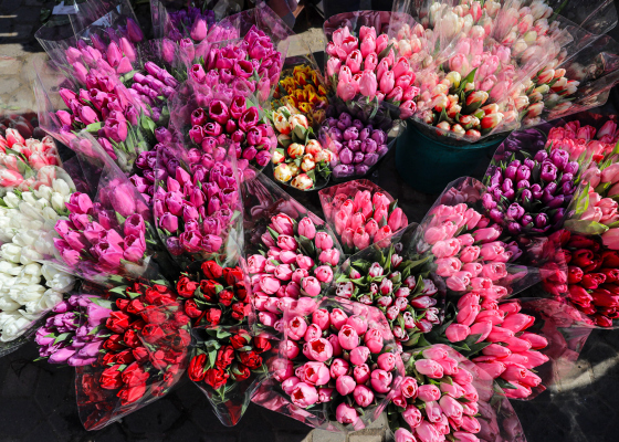 ��������� ���&nbsp;����� 8&nbsp;�����: ������� ����� ��������, ������ �&nbsp;���� ��&nbsp;�������� ������� (����) 