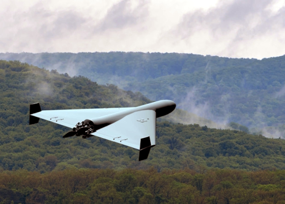 ������� �&nbsp;�����: ���������� ������� ��������� ����� &laquo;������&raquo;, �������� �&nbsp;������� ���� 