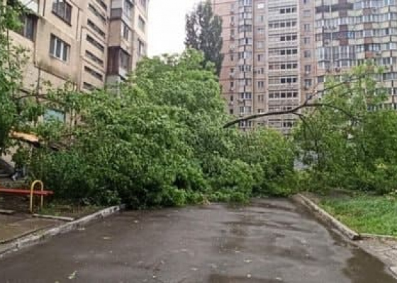 �� ����� ����� � ������ ����� 20 �������� � ����� (����) 