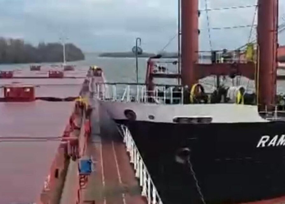 У берегов Одесчины на Дунае столкнулись два судна: балкер протаранил сухогруз с украинской пшеницей (видео)