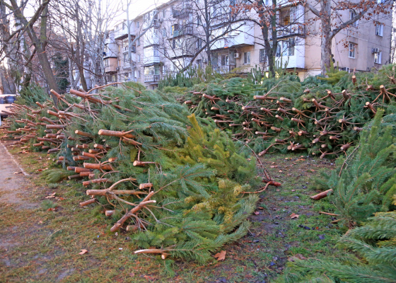 ��&nbsp;������ ����� �������� ����������� ��������� 24&nbsp;&laquo;����������&raquo; ��������� (����) 