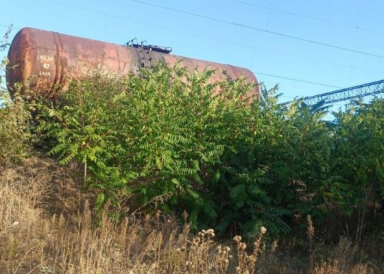 Забрался на крышу цистерны: подростка ударило током на железнодорожной станции под Одессой