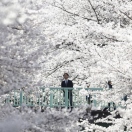 ��� ��� �������� �����-2014 (������������)