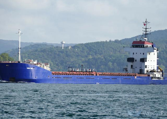 Продажа арестованного судна в Одесской области и новые «рейсы воров»: как Украина давит на нелегальные перевозки зерна