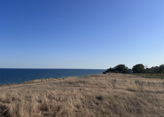 ����� �����������: ���������� ������� �&nbsp;���� �&nbsp;�������� ������� ������� 