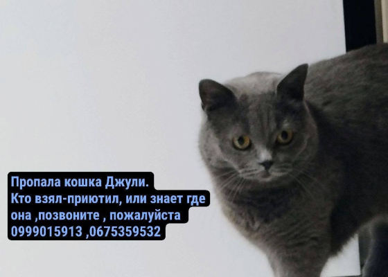 ��&nbsp;��&nbsp;����������, ������ ��&nbsp;�������!�: �&nbsp;������ ���������� ������� ��-�� ��������� �����, ��&nbsp;���&nbsp;����� ���� ��&nbsp;����� 