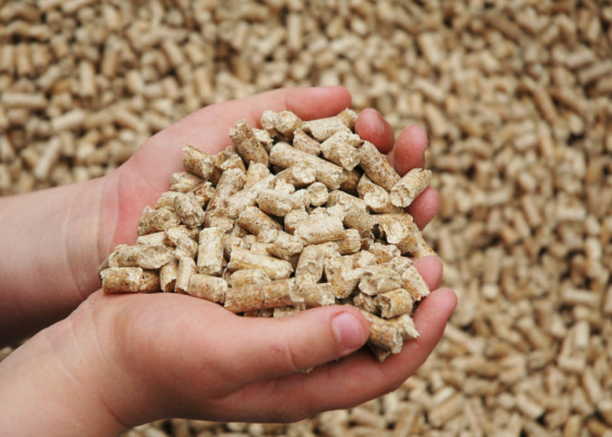 ������: ��&nbsp;�������� ��������� ������� ����� ������� ��������� ������� �&nbsp;������� ������� 