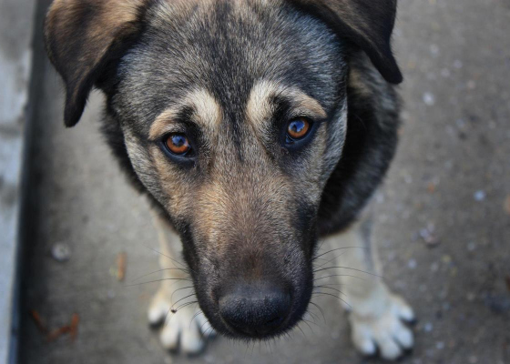 ����� �����, ���� �&nbsp;���&nbsp;������ ��������������� ������������: �������� ��������� ����������, ���&nbsp;�������� �������� 