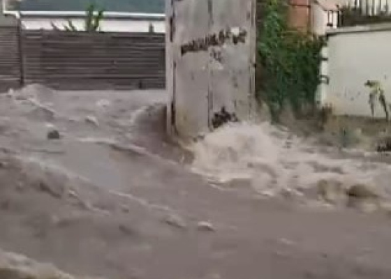 ����&nbsp;������� ����� ������: ������ ������� ����� �&nbsp;���, ���� �������� ����� ������ �������� ��&nbsp;������� 