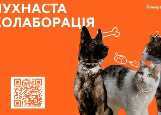 �������� ������ �&nbsp;����� ������������, ����� ������ �������� ����� ��������� (������� ��������) 