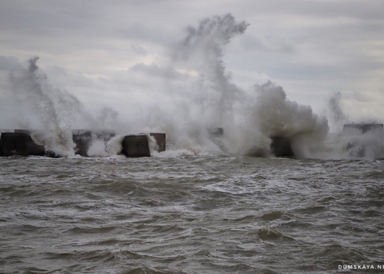 ������� ����� �&nbsp;����������: �&nbsp;������ �������� ������ ������� ��������� 