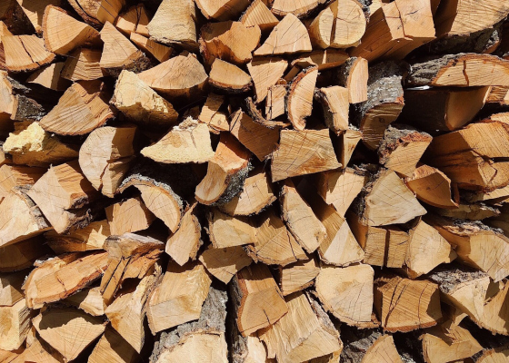 ����� ����������: �������� �������������� ������� ����������� ������ ��&nbsp;������� ���� ����� ���������� �������� 