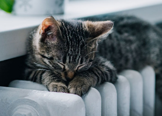 ����&nbsp;�����������: �&nbsp;������ ���������� ��������� ������������ ����� 