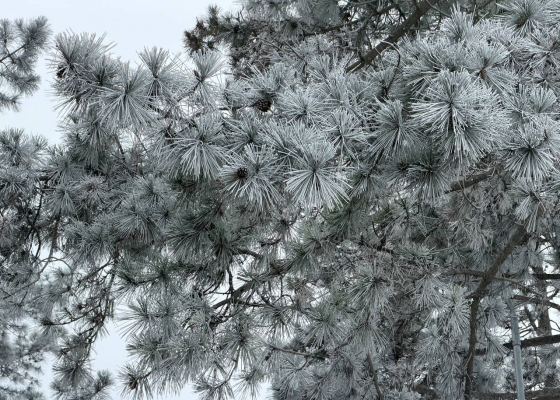 ������� �������: �������� ���� ������ ������ ��������� ������� �&nbsp;���������� ��������� (������������) 